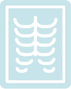 Spine Assessment