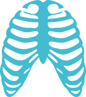 Xray Services Lockport