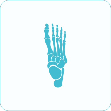 orthotic evaluation